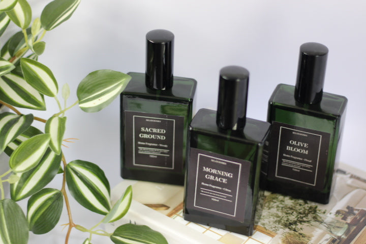 Signature Selah Collection